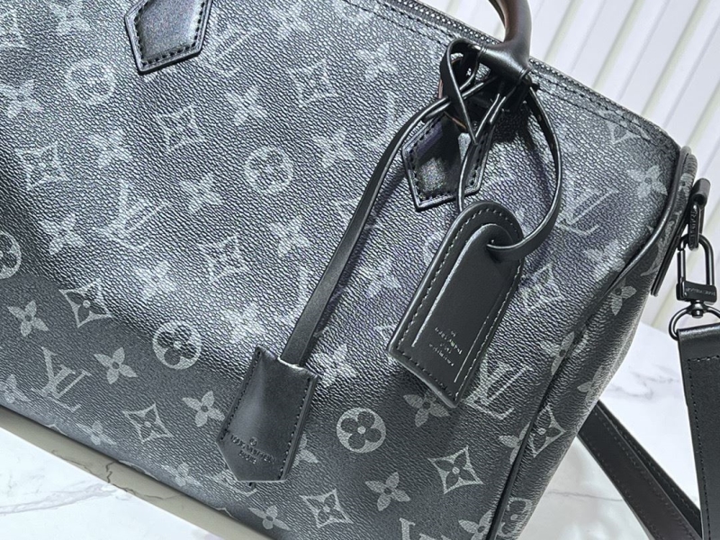 LV Travel Bags